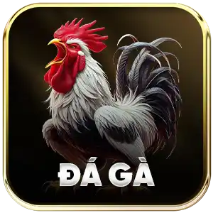 8kbet Đá gà