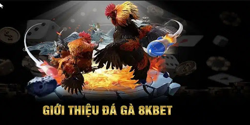 Gà khét thương hiệu dẫn đầu trong cá cược