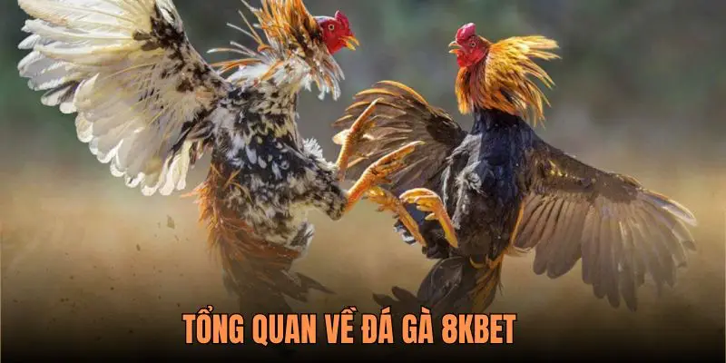 Giới thiệu về Mồng Gà tại 8KBet