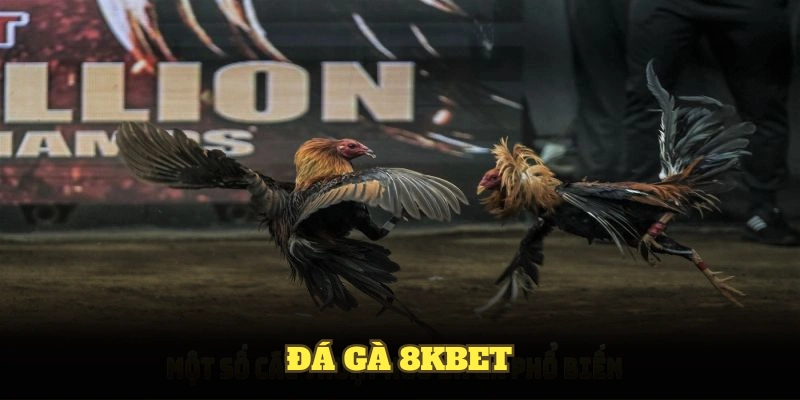 Hướng dẫn tham gia Gà khét trên 8kbet